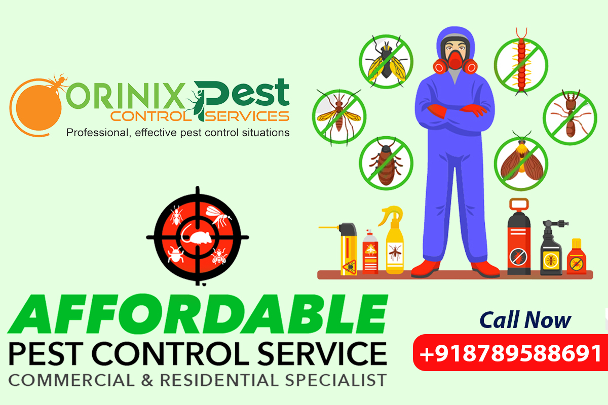 Pest Control Services in Patna and Gaya